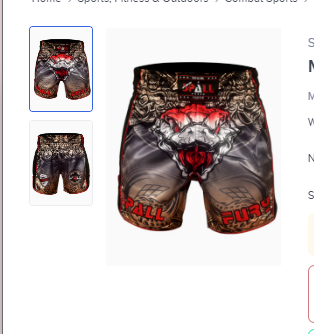 Muay Thai Shorts Fury Series